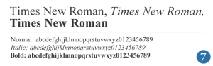 Times New Roman